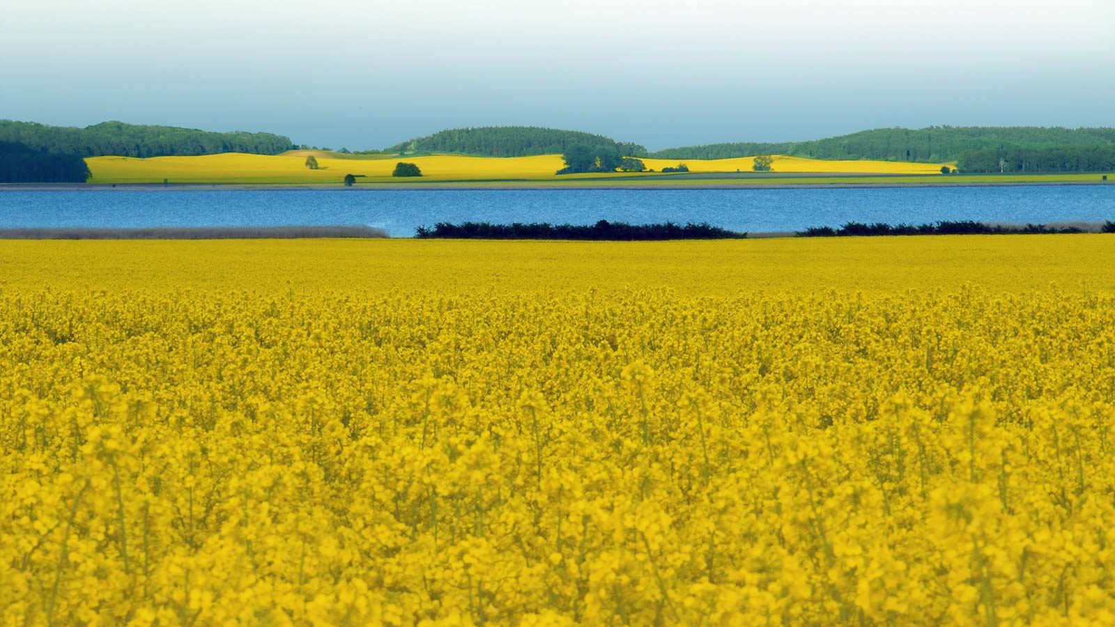 Ferienwohnung Boddenblick in Gingst auf der Insel Rügen
