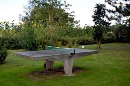 Tischtennisplatte im Garten