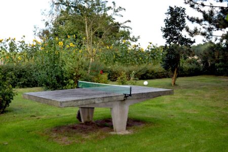 tischtennisplatte-garten-aktivurlaub-auf-ruegen Tischtennisplatte im Garten der Ferienwohnung für Ihren Aktivurlaub auf Rügen